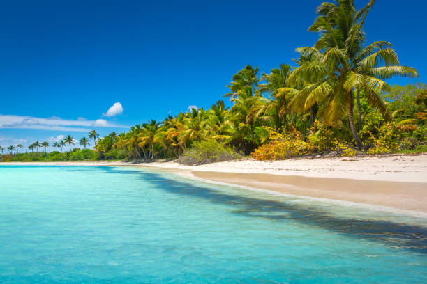 Playa de Punta Cana, República Dominicana